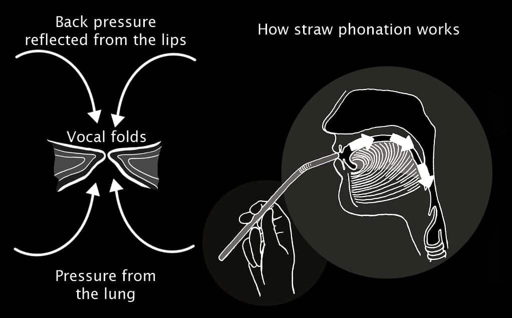 How straw phonation works