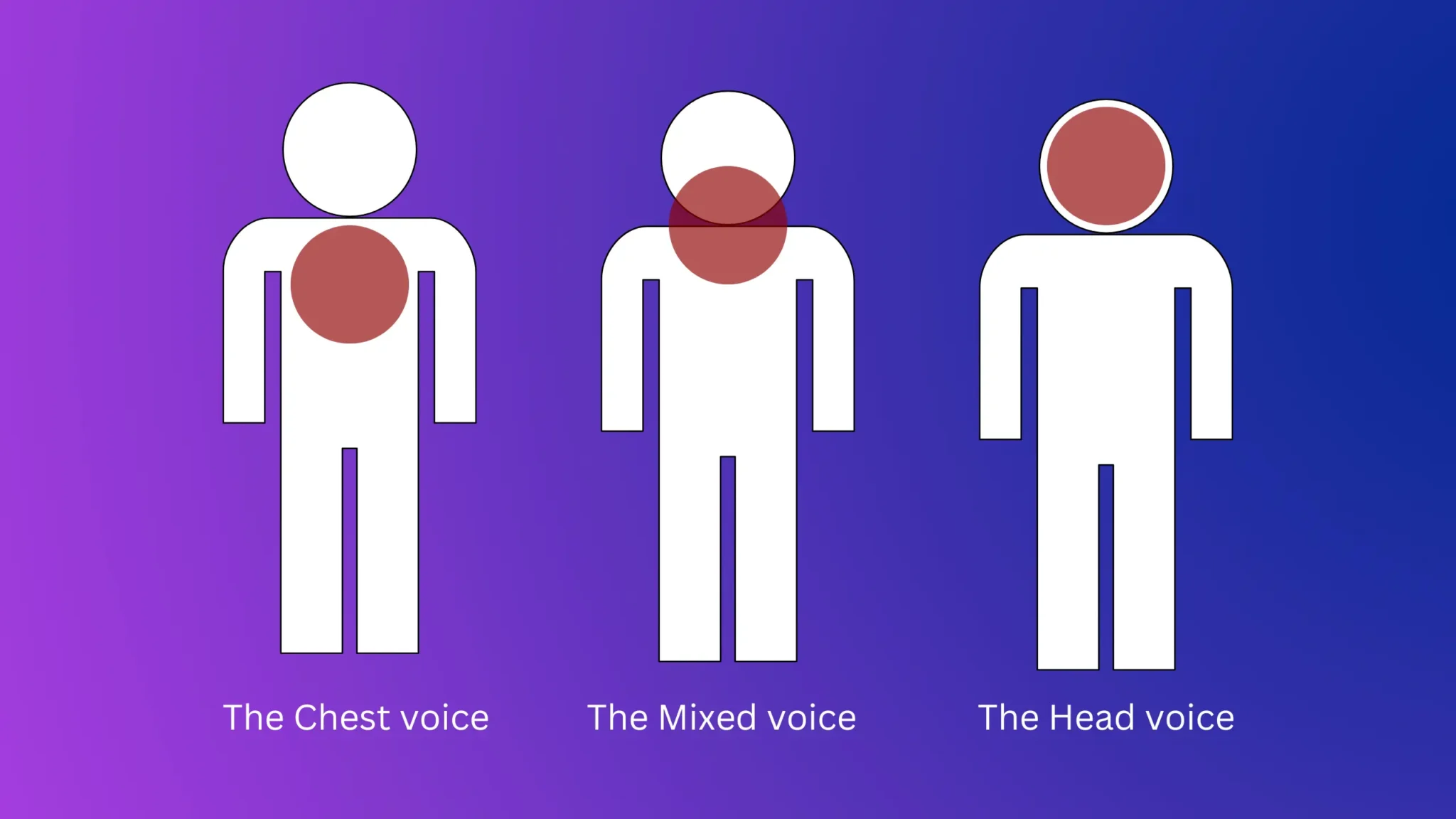 what is head voce: Vocal registers